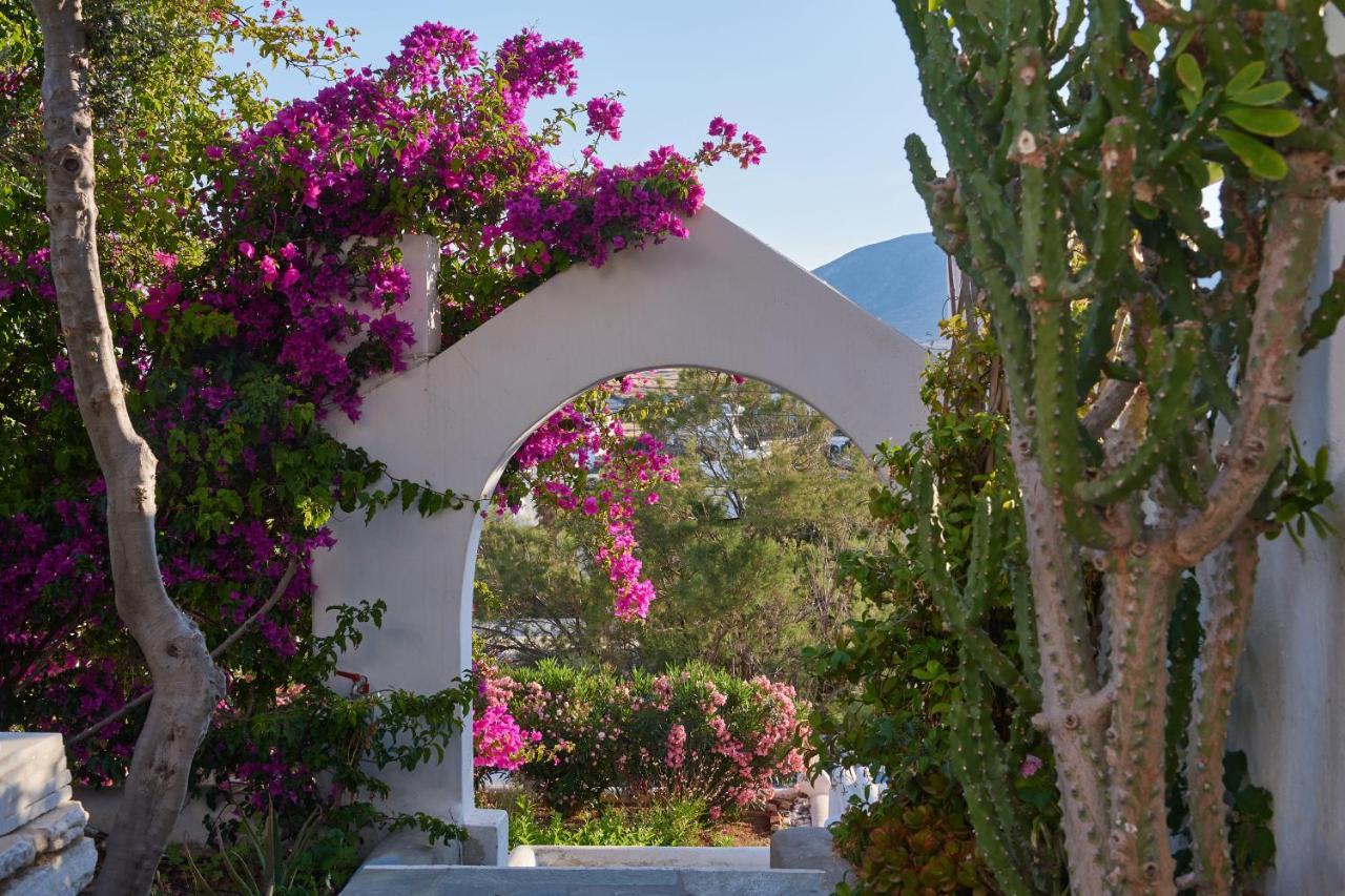 Cleopatra Seaside Homes, Logaras, Paros Piso Livadi Exterior photo