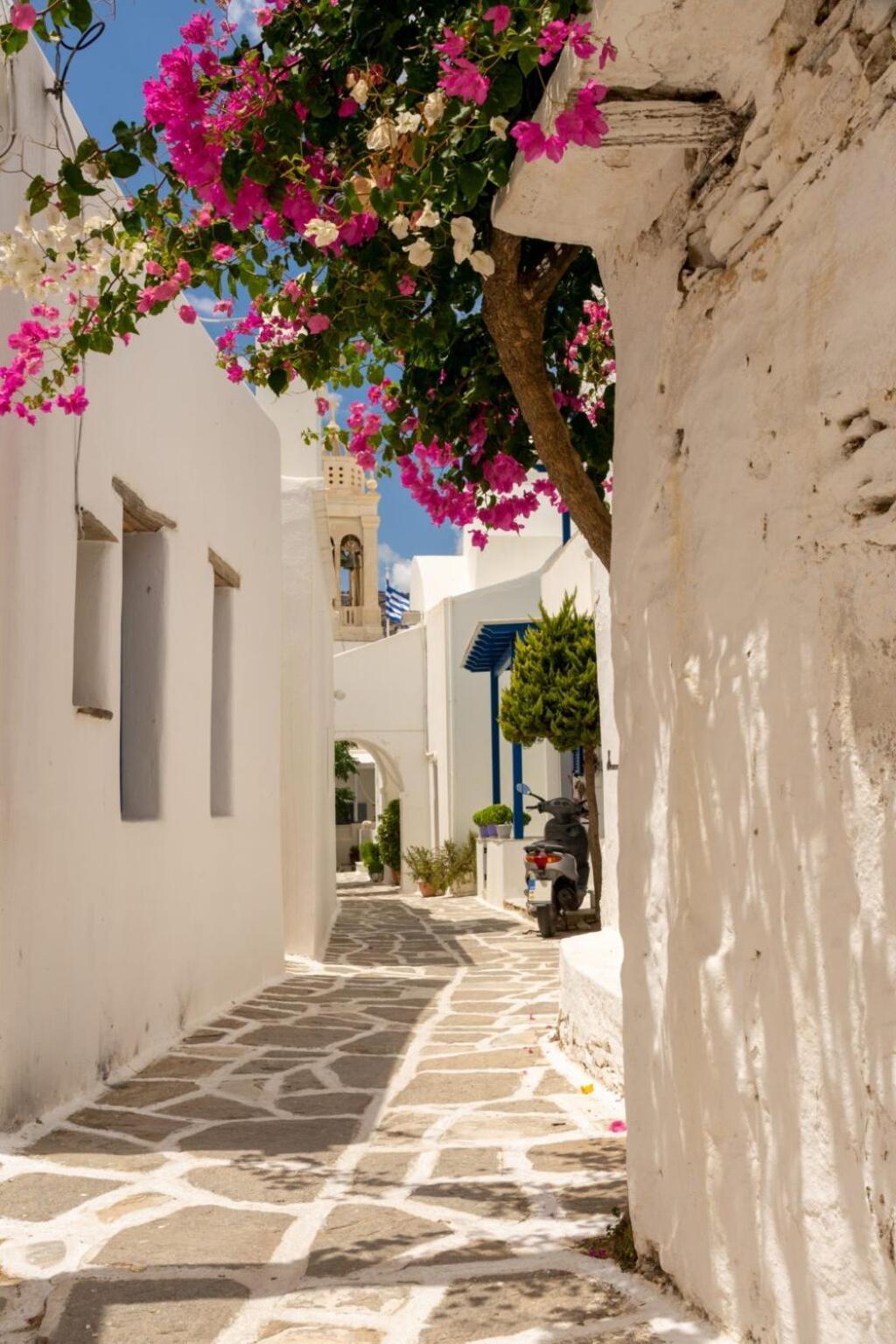 Cleopatra Seaside Homes, Logaras, Paros Piso Livadi Exterior photo