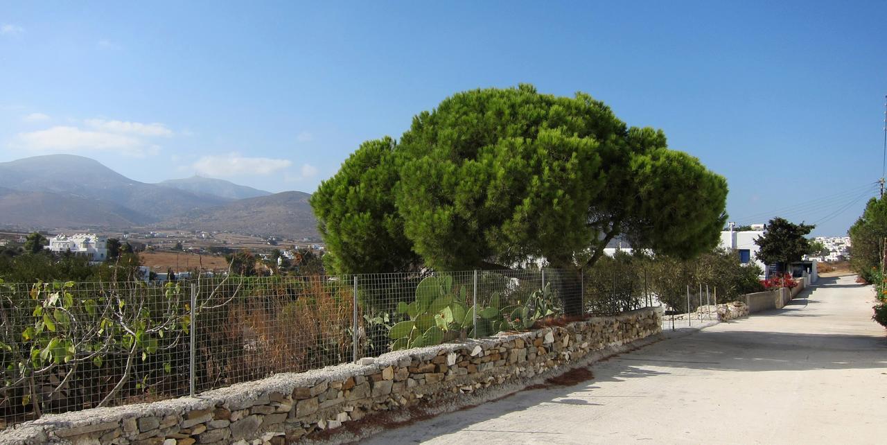 Cleopatra Seaside Homes, Logaras, Paros Piso Livadi Exterior photo